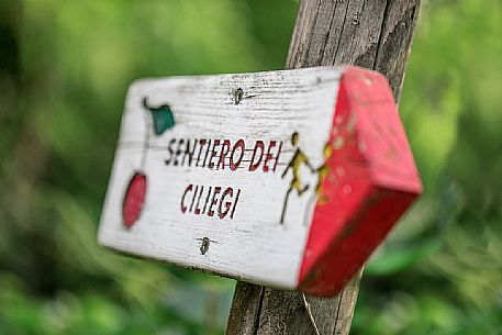 Road sign of Sentiero dei Ciliegi, a path between the cherry trees near Marostica, Vicenza, Veneto, Italy Road sign of Sentiero dei Ciliegi, a path between the cherry trees near Marostica, Vicenza, Veneto, Italy