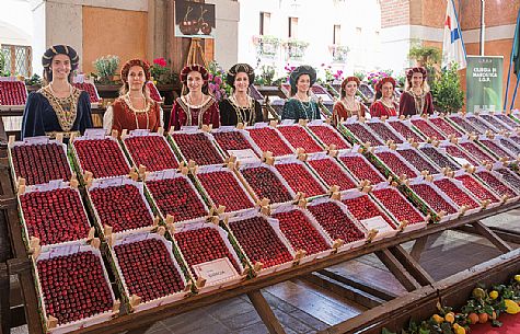 Display of cherry boxes on the Marostica cherry festival, Veneto,Vicenza, Italy