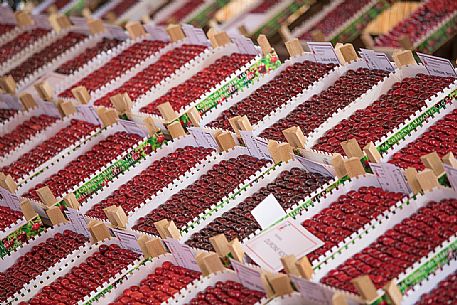 Display of cherry boxes on the Marostica cherry festival, Marostica, Vicenza, Veneto, Italy Display of cherry boxes on the Marostica cherry festival, Marostica, Vicenza, Veneto, Italy