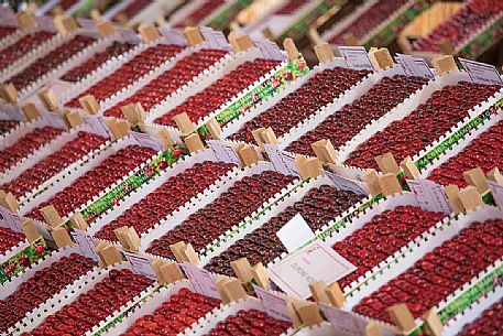 Display of cherry boxes on the Marostica cherry festival, Marostica, Vicenza, Veneto, Italy