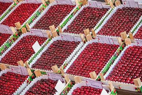 Display of cherry boxes on the Marostica cherry festival, Marostica, Vicenza, Veneto, Italy