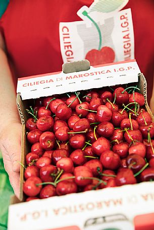 Cherry box at the Marostica cherry festival, Vicenza, Veneto, Italy Cherry box at the Marostica cherry festival, Vicenza, Veneto, Italy