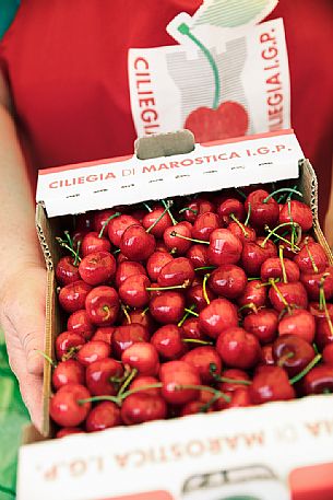 Cherry box at the Marostica cherry festival, Vicenza, Veneto, Italy