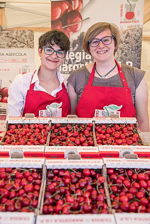 Display of cherry boxes at a stand on the Marostica cherry festival, Marostica, Vicenza, Veneto, Italy