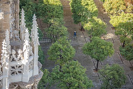 Patio de los Naranjos, the park of the cathedral of Seville or Church of Santa Maria della Sede from the Giralda tower, Seville, Spain, Europe Patio de los Naranjos, the park of the cathedral of Seville or Church of Santa Maria della Sede from the Giralda tower, Seville, Spain, Europe