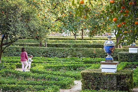 Maria Luisa park gardens (Parque de Maria Luisa), Seville's public garden, Seville, Spain, Europe Maria Luisa park gardens (Parque de Maria Luisa), Seville's public garden, Seville, Spain, Europe