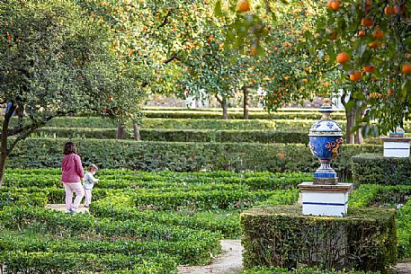 Maria Luisa park gardens (Parque de Maria Luisa), Seville's public garden,  Seville, Spain, Europe