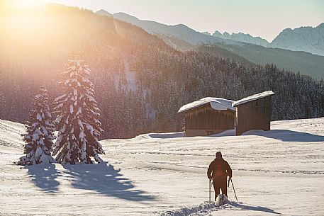 Hiker with the snowshoes at the first light of dawn, on background the Comelico mountains, Pusteria valley, dolomites, Trentino Alto Adige, Italy, Europe