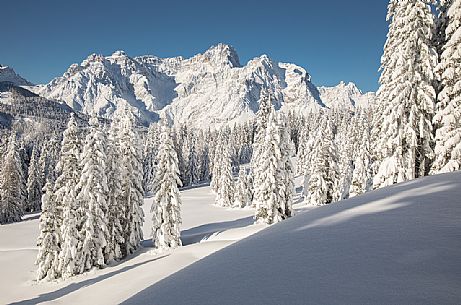 The snow covered landscape of Sesto, on background the Tre Scarperi Mount, Sesto, Pusteria valley, dolomites, Trentino Alto Adige, Italy, Europe