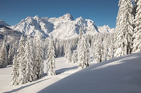 The snow covered landscape of Sesto, on background the Tre Scarperi Mount, Sesto, Pusteria valley, dolomites, Trentino Alto Adige, Italy, Europe The snow covered landscape of Sesto, on background the Tre Scarperi Mount, Sesto, Pusteria valley, dolomites, Trentino Alto Adige, Italy, Europe