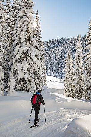Trekker with snowshoes immersed in the snow covered landscape of Sesto, Pusteria valley, Trentino Alto Adige, Italy, Europe Trekker with snowshoes immersed in the snow covered landscape of Sesto, Pusteria valley, Trentino Alto Adige, Italy, Europe