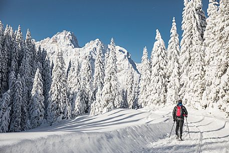 Trekker with snowshoes immersed in the snow covered landscape of Sesto, on background the Tre Scarperi Mount, Sesto, Pusteria valley, Trentino Alto Adige, Italy, Europe Trekker with snowshoes immersed in the snow covered landscape of Sesto, on background the Tre Scarperi Mount, Sesto, Pusteria valley, Trentino Alto Adige, Italy, Europe