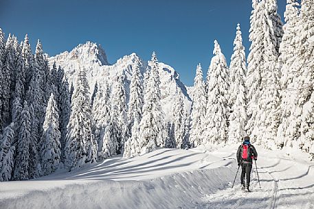 Trekker with snowshoes immersed in the snow covered landscape of Sesto, on background the Tre Scarperi Mount, Sesto, Pusteria valley, Trentino Alto Adige, Italy, Europe