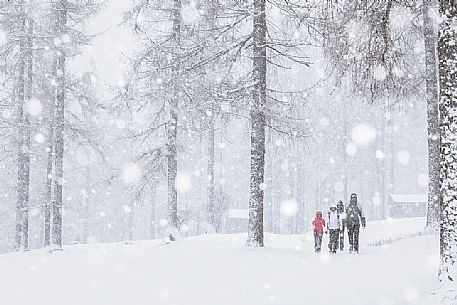 Hikers on the Fiscalina valley during an intense snowfall, Sesto, Pusteria valley, Trentino Alto Adige, Italy, Europe Hikers on the Fiscalina valley during an intense snowfall, Sesto, Pusteria valley, Trentino Alto Adige, Italy, Europe