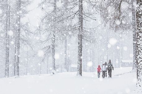 Hikers on the Fiscalina valley during an intense snowfall, Sesto, Pusteria valley, Trentino Alto Adige, Italy, Europe