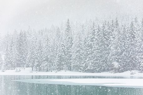 The Dobbiaco lake during an intensive snowfall, Pusteria valley, dolomites, Trentino Alto Adige, Italy, Europe The Dobbiaco lake during an intensive snowfall, Pusteria valley, dolomites, Trentino Alto Adige, Italy, Europe