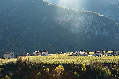 The blooming apple orchards in Di Non Valley, Cles, Trentino Alto Adige, Italy, Europe The blooming apple orchards in Di Non Valley, Cles, Trentino Alto Adige, Italy, Europe