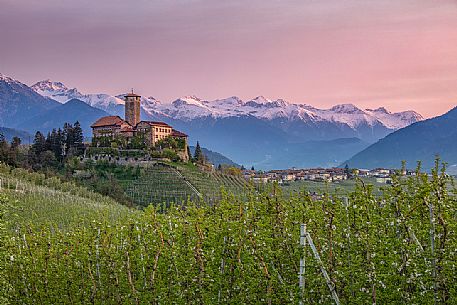 Valèr Castle immerses in the blooming apple orchards at sunset, Val di Non Valley, Tassullo, Trento, Trentino Alto Adige, Italy, Europe