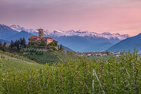 Valr Castle immerses in the blooming apple orchards at sunset, Val di Non Valley, Tassullo, Trento, Trentino Alto Adige, Italy, Europe