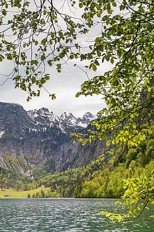 Obersee is a natural lake in the Berchtesgaden National Park, Upper Bavaria. Germany