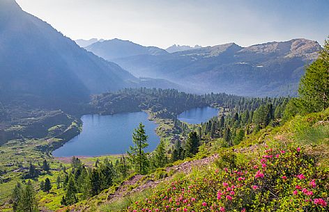 Colbricon lake from above, San Martino di Castrozza, dolomites, Trentino Alto Adige, Italy, Europe Colbricon lake from above, San Martino di Castrozza, dolomites, Trentino Alto Adige, Italy, Europe