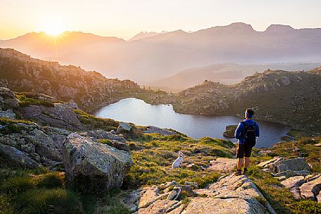 Trekker with his dog admire the sunset on the Cavallazza lake, San Martino di Castrozza, dolomites, Trentino Alto Adige, Italy, Europe