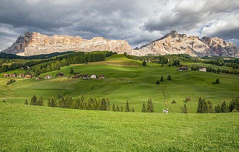 The fields in La Villa and in the background the Sasso della Croce and Lavarella mountains, Badia valley, dolomites, Trenino Alto Adige, Italy, Europe