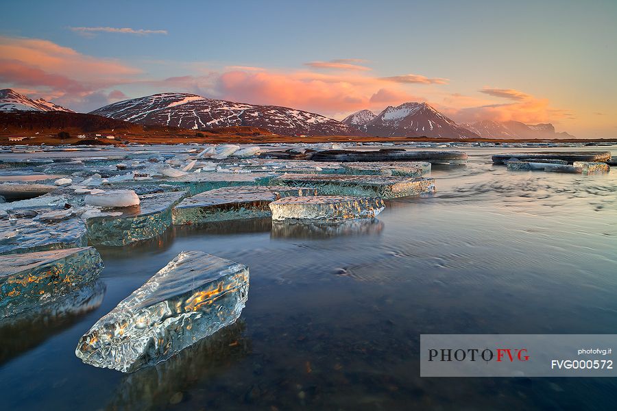 Pieces of ice, stranded on the beach reflect the colors and the light of dawn