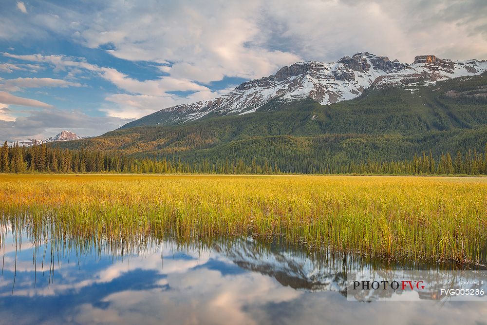 Reflections at Icefields Parkway , late afternoon