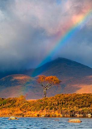 Rainbow over Rannoch Moor in Autumn