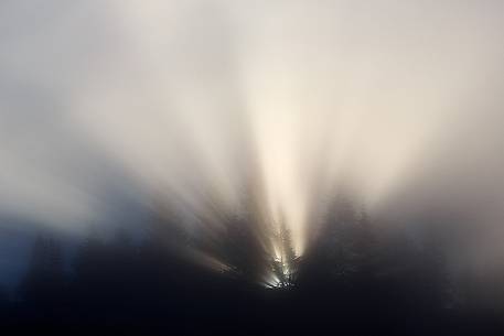 Rays of light through the trees in autumn at sunrise in the Trossachs