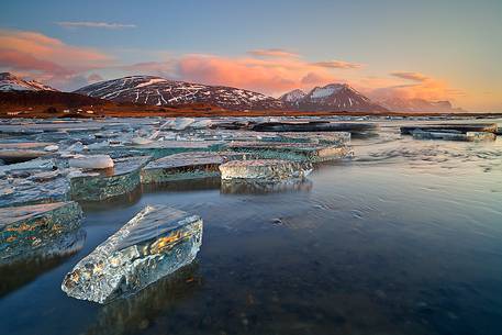 Pieces of ice, stranded on the beach reflect the colors and the light of dawn