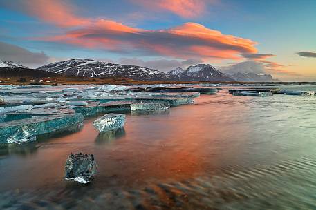 Pieces of ice, stranded on the beach reflect the colors and the light of dawn