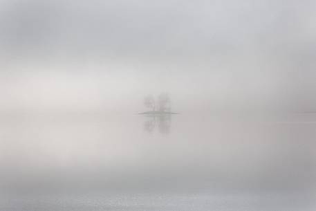 A small isle of trees shows up through the fog 