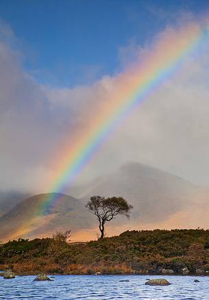 Due to the Scottish changeable weather it's quite common to admire fascinating rainbow during Autumn time