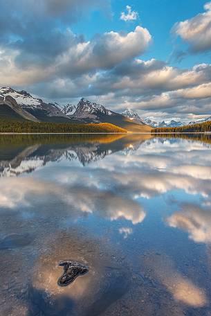 The beautiful view of Maligne Lake at late afternoon