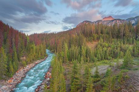A view of the scenery around Icefields Parkway  
