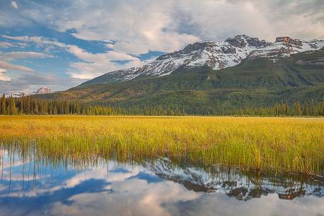 Reflections at Icefields Parkway , late afternoon