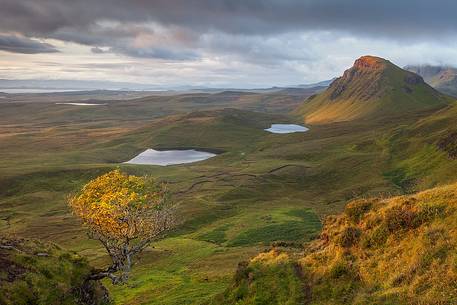 A warm ray of light reach a lonely tree during the sunrise at Quiraing