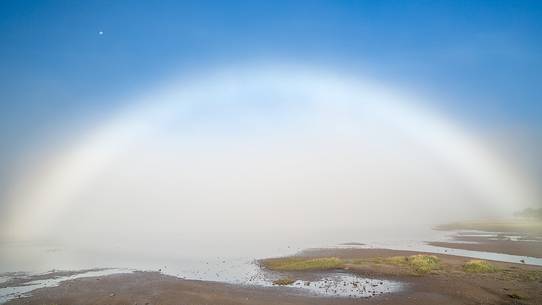 An incredible HALO showed up in the morning during a very misty day