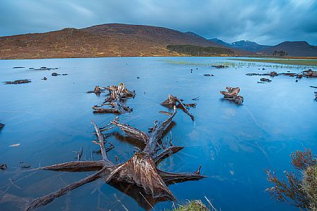 These roots of dead trees can be seen only with low tide at loch Droma. During that day in particular the dramatic sky gave a dark mood to the all scenary