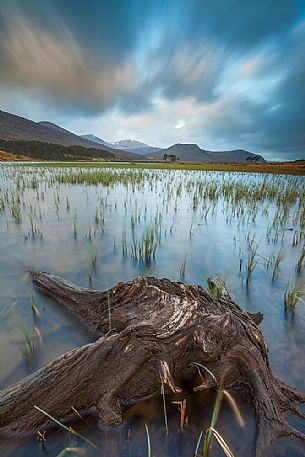 These roots of dead trees can be seen only with low tide at loch Droma. During that day in particular the dramatic sky gave a dark mood to the all scenary
