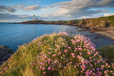 The spring wind blows through the flowers at Turnberry