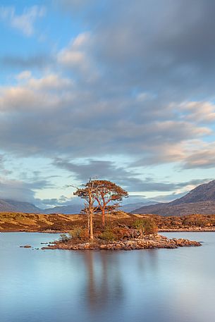 This fascinating isle of scots pines was reflected  in the lake at sunset time