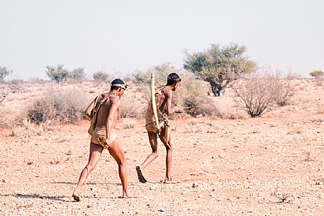 Two San men during a hunting walk in the bush savanna of the Kalahari Desert, Namibia. Africa