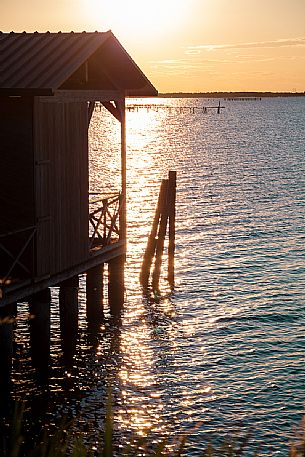 Sunset in the Sacca degli Scardovari, Delta del Po natural park, Rovigo, Veneto, Italy