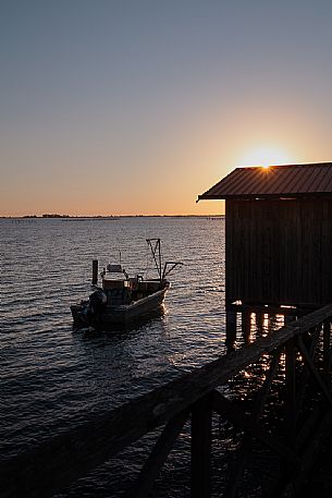 Sunset with fisher boat in Sacca degli Scardovari, Delta del Po natural park, Rovigo, Italy, Europe