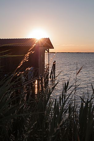 The sun sets behind a typical fishermen's building in the Adriatic coast, Sacca degli Scardovari, Delta del Po natural reserve, Rovigo, Veneto, Italy