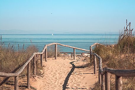 Boagt and natural landscape in Bibione, Adriatic Sea, Bibione, Veneto, Italy, Europe