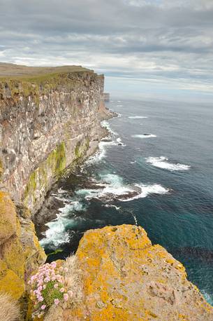 the overhanging cliffs of Latrabjarg populated of thousand of sea birds